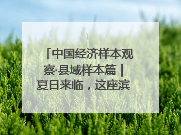 中国经济样本观察·县域样本篇｜夏日来临，这座滨海小城吸引众多年轻人打卡……