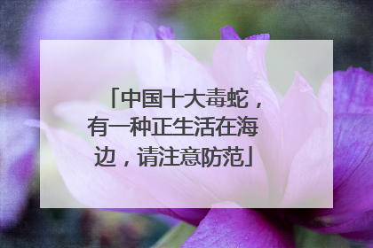 中国十大毒蛇，有一种正生活在海边，请注意防范