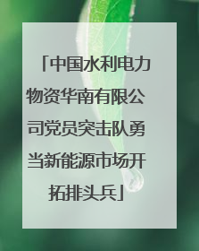 中国水利电力物资华南有限公司党员突击队勇当新能源市场开拓排头兵