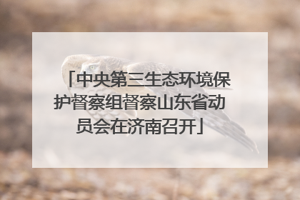中央第三生态环境保护督察组督察山东省动员会在济南召开