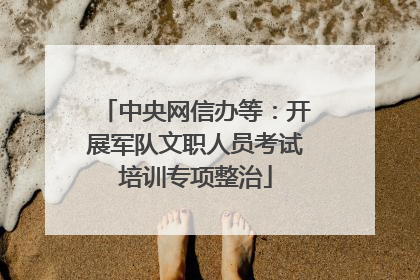 中央网信办等：开展军队文职人员考试培训专项整治