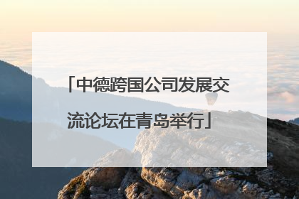 中德跨国公司发展交流论坛在青岛举行