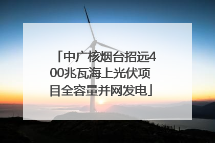 中广核烟台招远400兆瓦海上光伏项目全容量并网发电