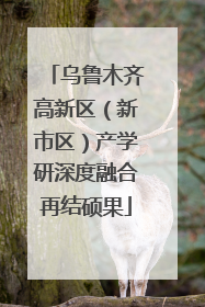 乌鲁木齐高新区（新市区）产学研深度融合再结硕果