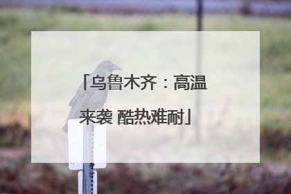 乌鲁木齐：高温来袭 酷热难耐