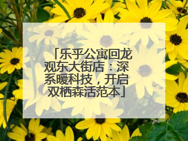 乐乎公寓回龙观东大街店：深系暖科技，开启双栖森活范本