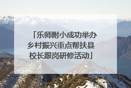 乐师附小成功举办乡村振兴重点帮扶县校长跟岗研修活动