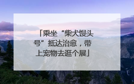 乘坐“柴犬馒头号”抵达治愈，带上宠物去逛个展