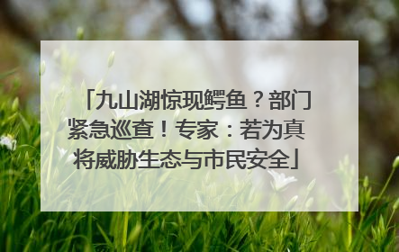 九山湖惊现鳄鱼？部门紧急巡查！专家：若为真将威胁生态与市民安全