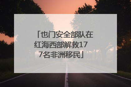 也门安全部队在红海西部解救177名非洲移民