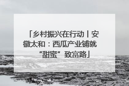 乡村振兴在行动丨安徽太和：西瓜产业铺就“甜蜜”致富路