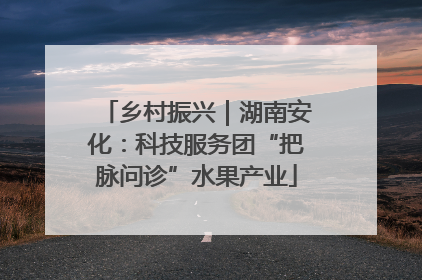 乡村振兴｜湖南安化：科技服务团“把脉问诊”水果产业