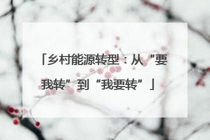 乡村能源转型：从“要我转”到“我要转”