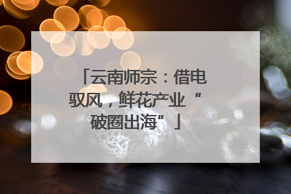 云南师宗：借电驭风，鲜花产业“破圈出海”