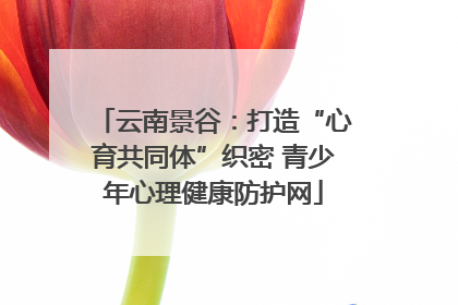 云南景谷：打造“心育共同体”织密 青少年心理健康防护网