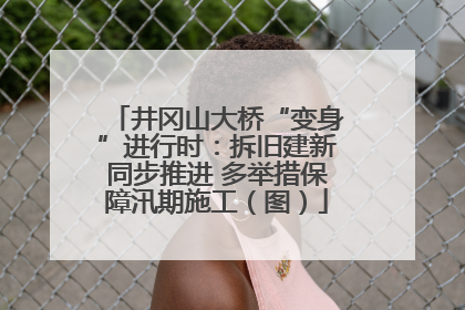井冈山大桥“变身”进行时：拆旧建新同步推进 多举措保障汛期施工（图）