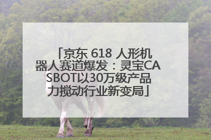 京东 618 人形机器人赛道爆发：灵宝CASBOT以30万级产品力搅动行业新变局