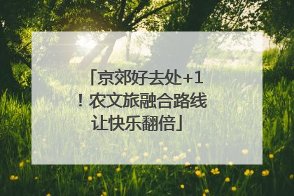 京郊好去处+1！农文旅融合路线让快乐翻倍