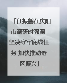 任振鹤在庆阳市调研时强调 坚决守牢底线任务 加快推动老区振兴