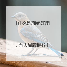 什么洗面奶好用，五大品牌推荐