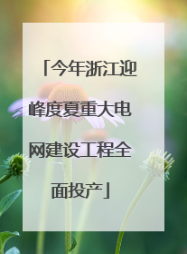 今年浙江迎峰度夏重大电网建设工程全面投产