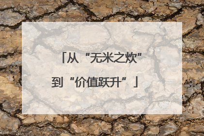 从“无米之炊”到“价值跃升”
