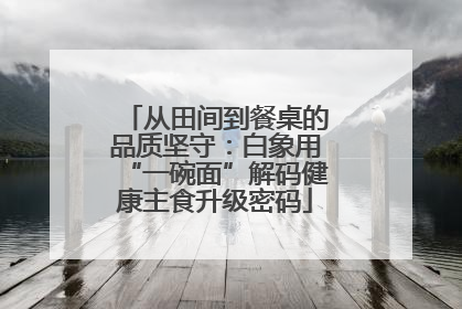 从田间到餐桌的品质坚守：白象用“一碗面”解码健康主食升级密码
