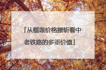 从榴莲价格腰斩看中老铁路的多重价值