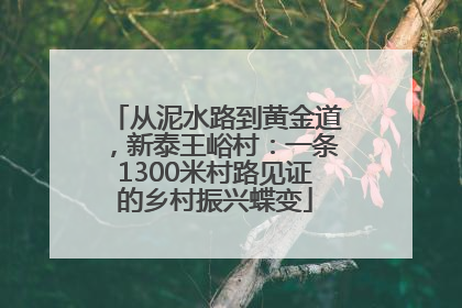 从泥水路到黄金道，新泰王峪村：一条1300米村路见证的乡村振兴蝶变