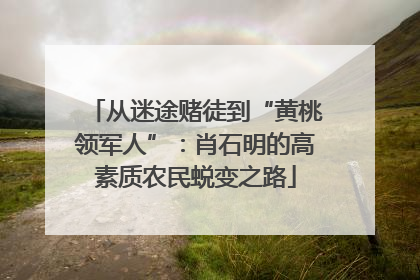 从迷途赌徒到“黄桃领军人”：肖石明的高素质农民蜕变之路