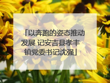 以奔跑的姿态推动发展 记安吉县孝丰镇党委书记沈强