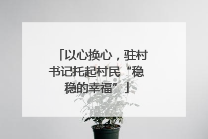 以心换心，驻村书记托起村民“稳稳的幸福”