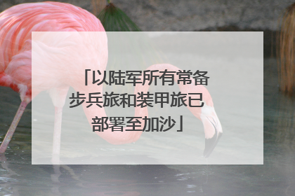 以陆军所有常备步兵旅和装甲旅已部署至加沙