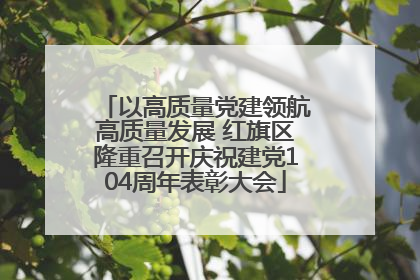 以高质量党建领航高质量发展 红旗区隆重召开庆祝建党104周年表彰大会