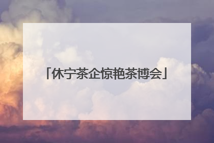 休宁茶企惊艳茶博会