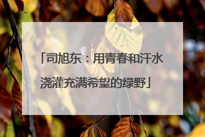 司旭东：用青春和汗水浇灌充满希望的绿野