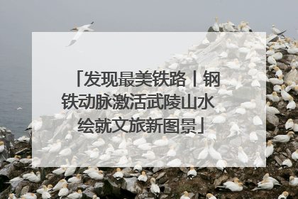 发现最美铁路丨钢铁动脉激活武陵山水 绘就文旅新图景