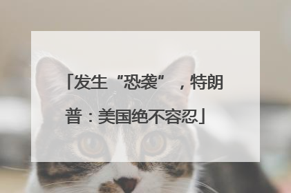 发生“恐袭”，特朗普：美国绝不容忍