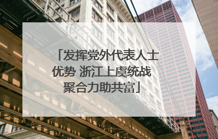 发挥党外代表人士优势 浙江上虞统战聚合力助共富