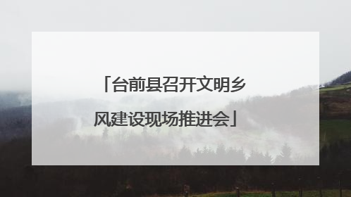 台前县召开文明乡风建设现场推进会
