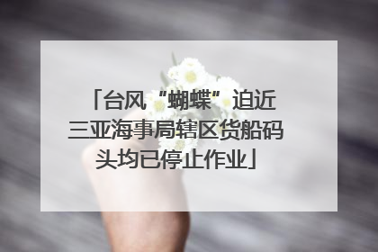 台风“蝴蝶”迫近 三亚海事局辖区货船码头均已停止作业