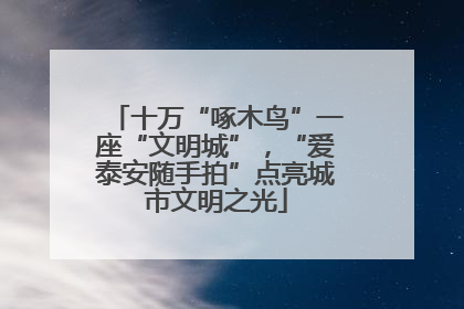 十万“啄木鸟”一座“文明城”，“爱泰安随手拍”点亮城市文明之光