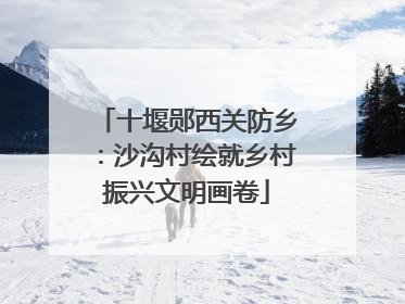 十堰郧西关防乡：沙沟村绘就乡村振兴文明画卷