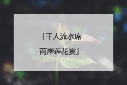 千人流水席 两岸莲花宴