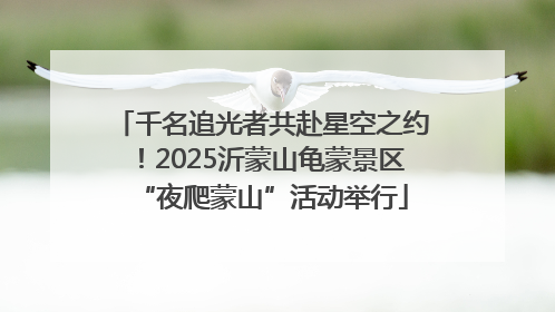 千名追光者共赴星空之约！2025沂蒙山龟蒙景区“夜爬蒙山”活动举行
