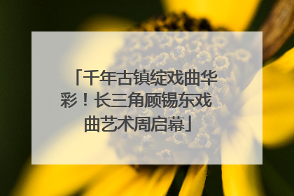 千年古镇绽戏曲华彩！长三角顾锡东戏曲艺术周启幕