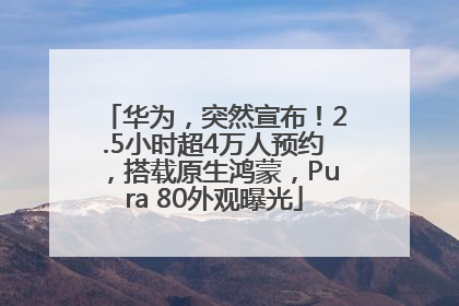 华为，突然宣布！2.5小时超4万人预约，搭载原生鸿蒙，Pura 80外观曝光