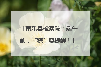 南乐县检察院：端午前，“粽”要提醒！