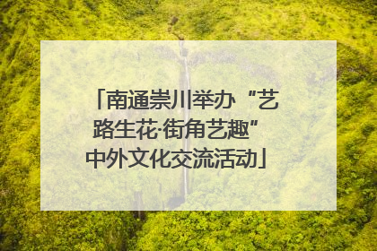 南通崇川举办“艺路生花·街角艺趣”中外文化交流活动