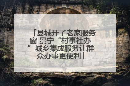 县城开了老家服务窗 景宁“村事社办”城乡集成服务让群众办事更便利